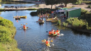 Photo of “Juntémonos en el Parque”: Lanzan nueva iniciativa para reactivar la sana recreación del Parque El Loa