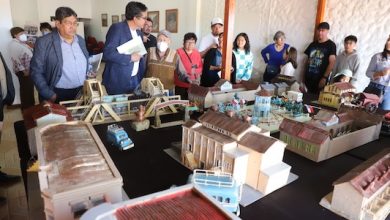 Photo of Cerca de 8 mil personas llegaron al Parque El Loa a celebrar el Día de Los Patrimonios