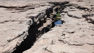 Photo of Presentan página web que potenciará los atractivos turísticos de Calama