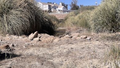 Photo of Columna: La Muerte del Río Loa