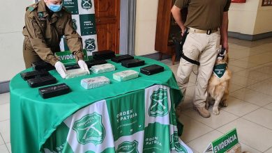 Photo of Más de 230 millones de pesos en droga se incautó Carabineros en La Negra