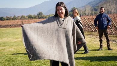 Photo of Más de 60 tejedoras campesinas comercializarán exclusiva colección de 1.100 ponchos en el retail