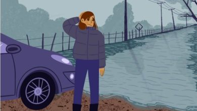 Photo of Dirección del Trabajo emite dictamen que refuerza el deber de protección de los derechos de trabajadores afectados por sistema frontal