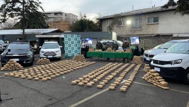 Photo of Desarticulan bandas narcos con 335 kilos de droga