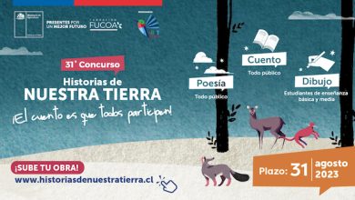 Photo of Concurso Historias de Nuestra Tierra: cultura y entretención para estas vacaciones de invierno