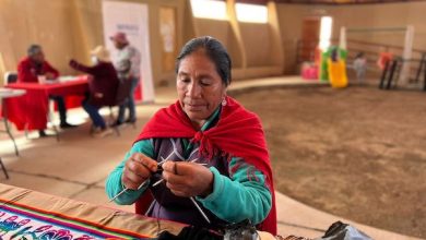 Photo of Plaza Ciudadana del programa Gobierno en Terreno acercó servicios públicos a la comunidad en Ollagüe