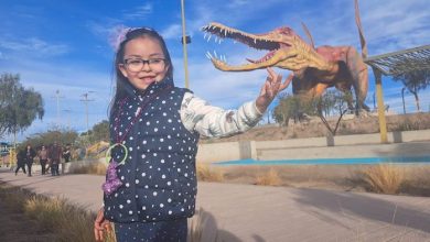 Photo of ESTE DOMINGO FINALIZA EL PLAZO PARA CONCURSAR EN EL DESAFÍO DEL DINONOMBRE