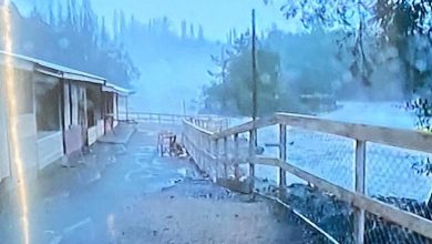 Photo of Tras las graves inundaciones: Senado abordó los efectos y medidas adoptadas