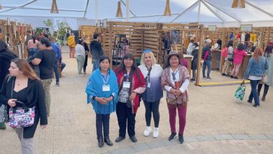 Photo of SernamEG y Conadi convocan para participar en la X Expo Feria de Mujeres Emprendedoras Indígenas