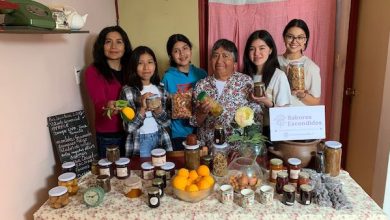 Photo of La admirable historia de esfuerzo y tradición de agricultora de San Pedro de Atacama