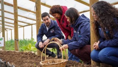 Photo of INDAP lanza nuevo programa para la Transición a la Agricultura Sostenible