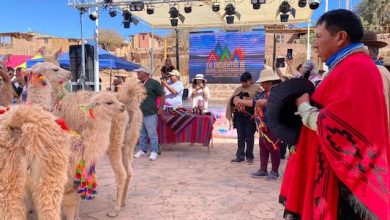Photo of Cultoras y Cultores Indígenas de toda la zona norte del país participan de XVI Encuentro en San Pedro de Atacama