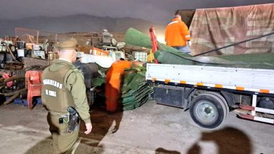 Photo of Mujer es detenida por Carabineros. Tenía  2.400 metros de pasto sintético sustraído a cancha de hockey