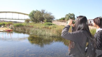 Photo of Unas 3 mil personas conocieron la flora y fauna local del Parque El Loa