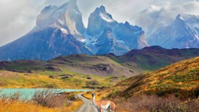 Photo of Día Internacional de los Parques Nacionales: Solo este año nuestro país ha creado tres nuevos parques