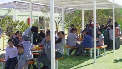 Photo of Inauguran patio pedagógico en escuela Pedro Vergara Keller
