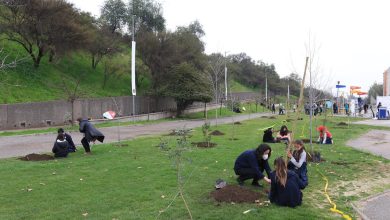 Photo of 100 nuevos árboles darán vida a Bosque de la Memoria