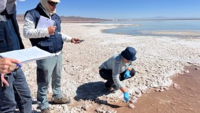 Photo of Ampliación del acceso a la justicia ambiental: avanza moción que busca entregar certeza jurídica