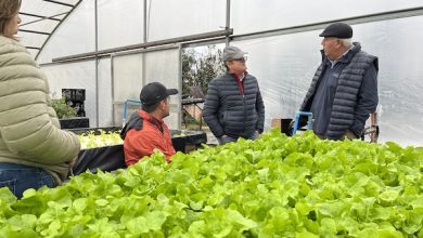 Photo of Presidente del Consorcio Cermac explora oportunidades de colaboración en Chile junto HortiCrece