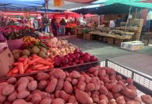Photo of Certificaron a cuatro ferias de la región en el marco del Programa Transferencia de Desarrollo de Ferias Libres
