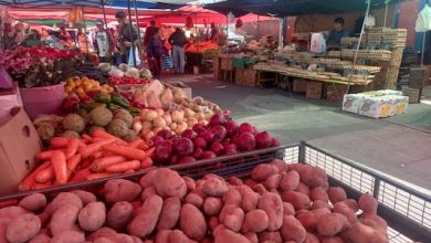 Photo of Sala del Senado aprobó por amplia mayoría el proyecto de ley de Fortalecimiento de Ferias Libres
