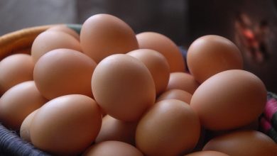 Photo of La producción de huevos de consumo presentó un crecimiento interanual de 9,1% en febrero de 2024