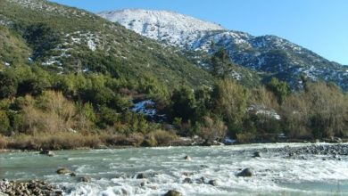 Photo of Segundo Tribunal Ambiental confirmó declaratoria del humedal urbano Río Maipo en la comuna de Isla de Maipo