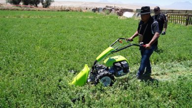 Photo of Odepa actualizó la clasificación comunal de la Política Nacional de Desarrollo Rural con datos del Censo 2024