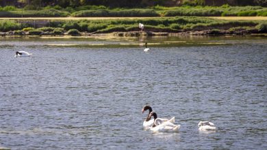 Photo of Organización Mundial de Turismo reconoce a tres localidades rurales chilenas