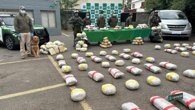 Photo of Fiscalía de Tocopilla formalizó a banda detenida con 365 kilos de marihuana
