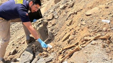 Photo of PDI investiga hallazgo de osamentas en el sector de Gatico