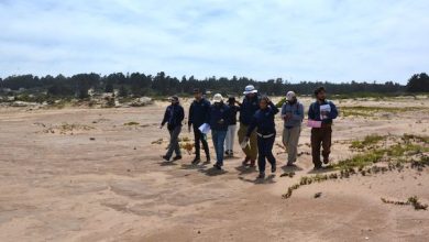 Photo of Segundo Tribunal Ambiental inspeccionó sector del campo dunar de la comuna de El Tabo
