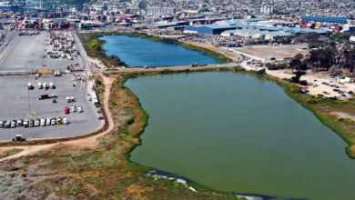 Photo of Segundo Tribunal Ambiental alcanza histórica conciliación en proceso de reclamación por rechazo a declarar humedal Urbano Ojos de Mar en San Antonio