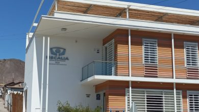 Photo of Fiscalía de Taltal logró condena contra autores de homicidio