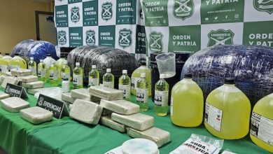 Photo of Desarticulan laboratorio de drogas en la región