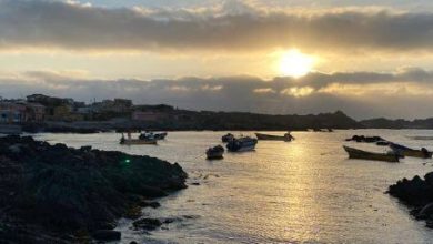Photo of JUSTICIA ACOGIÓ ARGUMENTOS DEL CDE Y RECHAZÓ RECURSOS EN CONTRA DE CREACIÓN DE ÁREA MARINA PROTEGIDA EN ARCHIPIÉLAGO DE HUMBOLDT