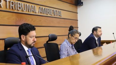 Photo of Primer Tribunal Ambiental deja en acuerdo la causa Dominga
