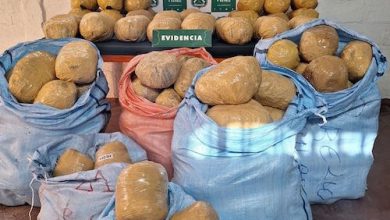 Photo of Investigación de Fiscalía y OS7 Calama finalizó con dos detenidos y 154 kilos de droga incautada