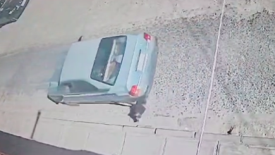 Photo of Se Busca a este maldito que atropelló a perrito en Calama