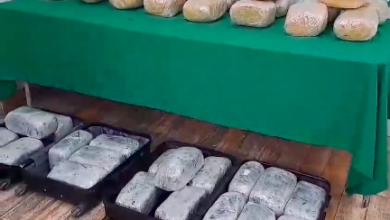 Photo of OS7 Carabineros intercepta más de 96 mil dosis de marihuana