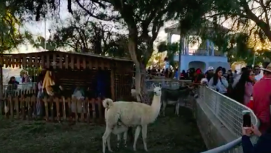 Photo of Navidad en Chuquicamata