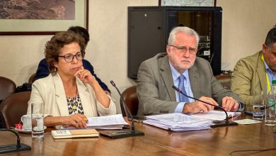 Photo of Ministra Williams destaca avances en la implementación de la  Estrategia Nacional del Litio