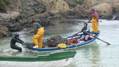 Photo of «Se corrige una inequidad de 12 años»: 6 claves de histórica Ley de Fraccionamiento Pesquero que fortalece el sector artesanal