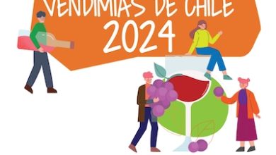 Photo of Fiestas de las Vendimias 2024: panoramas imperdibles para este verano