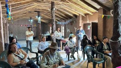 Photo of Empresas de pueblos originarios se abren camino al comercio exterior con Aduana Conecta