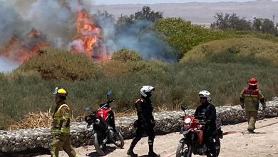 Photo of INCENDIO FORESTAL RÍO LOA