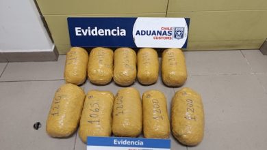 Photo of Fiscalizadores de Aduanas encuentran 10 paquetes de marihuana abandonados en Chungará