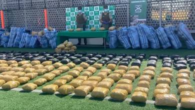Photo of Carabineros confiscó millonario contrabando de marihuana en frontera