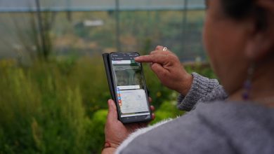 Photo of “MI PAGO INDAP”: PLATAFORMA DIGITAL FACILITARÁ LOS PAGOS DE MÁS DE 62 MIL AGRICULTORES DE TODO EL PAÍS