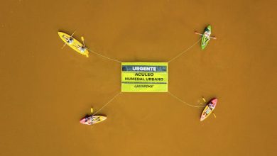 Photo of Con cartel flotante de 5 metros:  Greenpeace pide que Laguna de Aculeo se declare humedal urbano